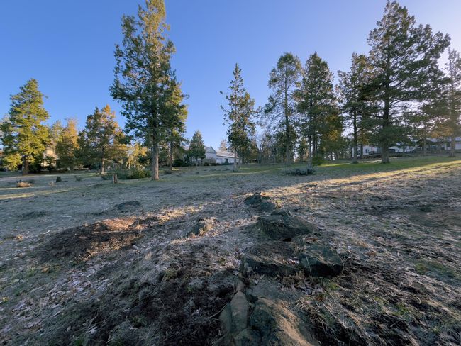 520 Mourning Dove Dr-03 | Image 7