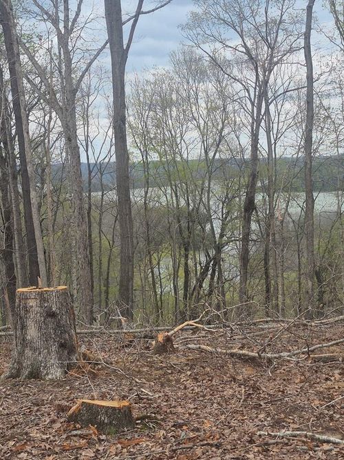 21 AC St John'S Cemetery Rd, Allons, TN, 38541 | Card Image