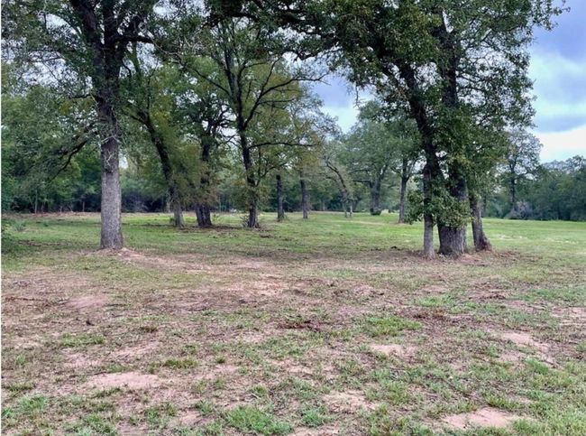 1073 Creekside Lane, Home with 0 bedrooms, 0 bathrooms and null parking in Lexington TX | Image 19