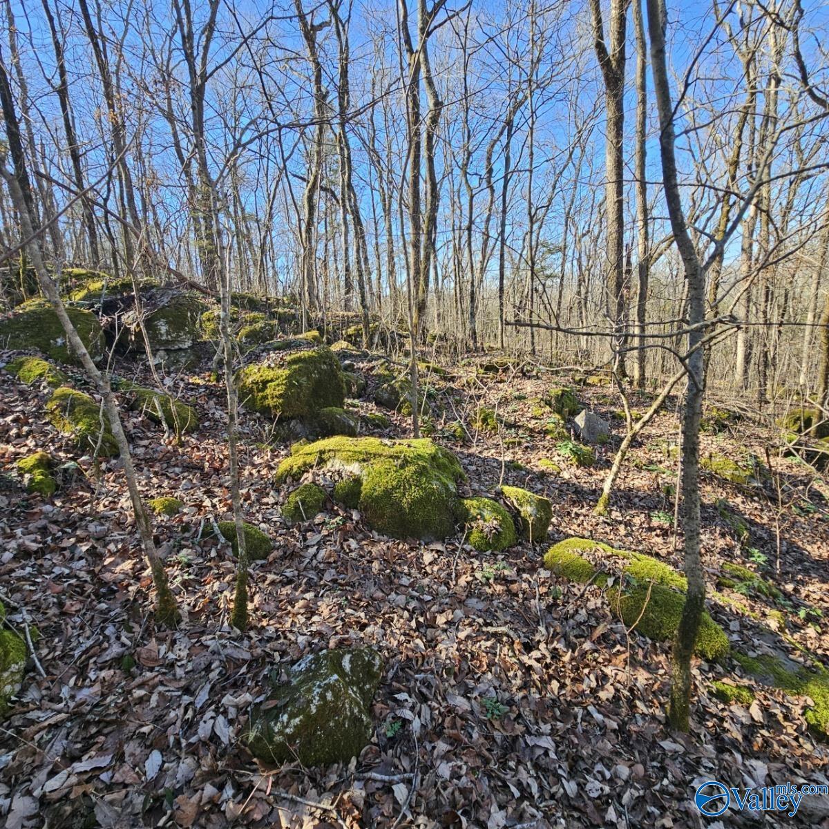 Land in Somerville 3
