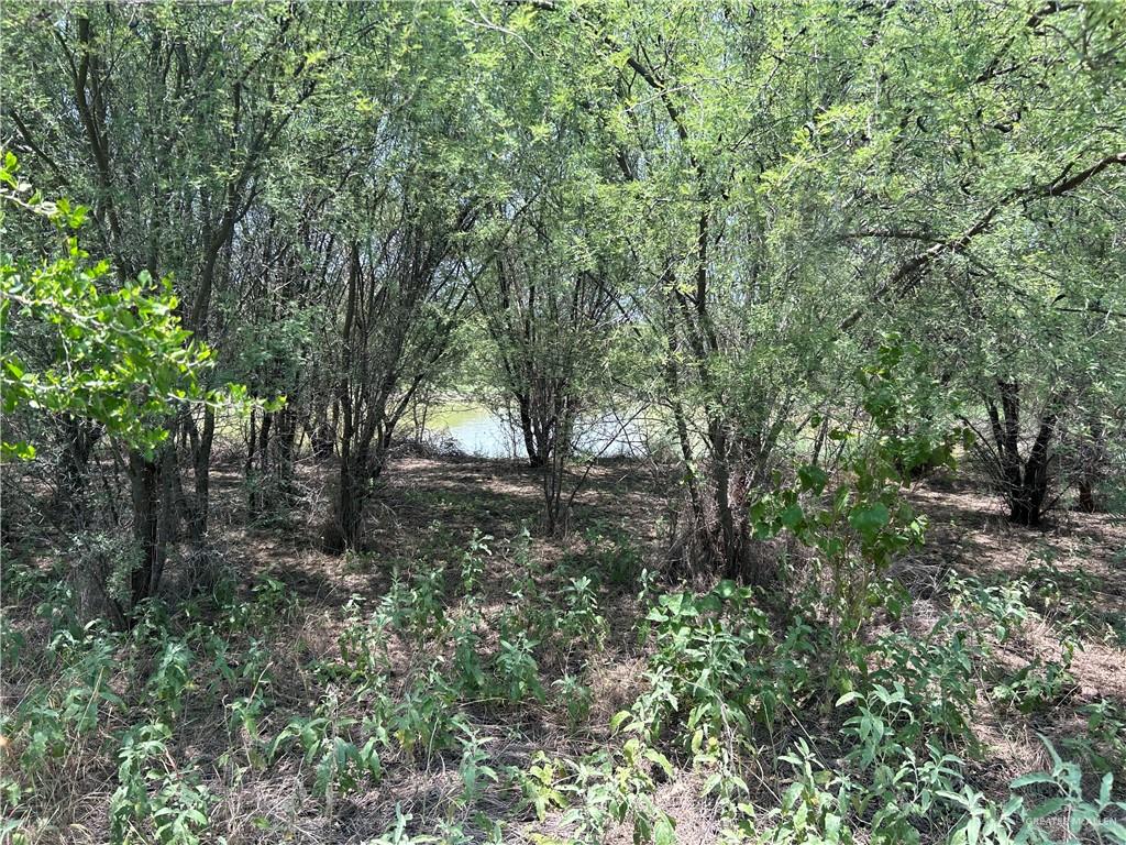 Land in Zapata 2