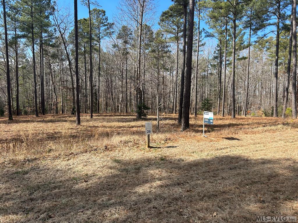 Land in Macon 5