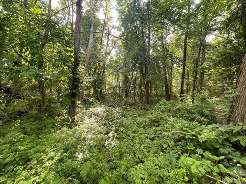 09 N Tipsico Lake Rd, Highland, MI, 48357 | Card Image