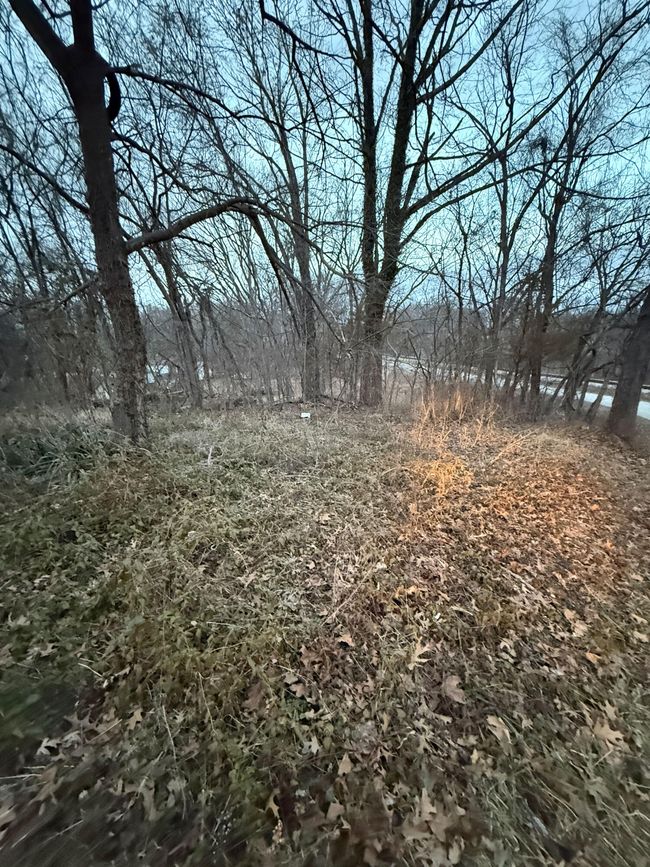 9 | Image 9