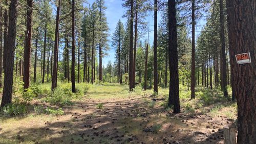 Lot 24 Big Lake Rd, Mcarthur, CA, 96056 | Card Image