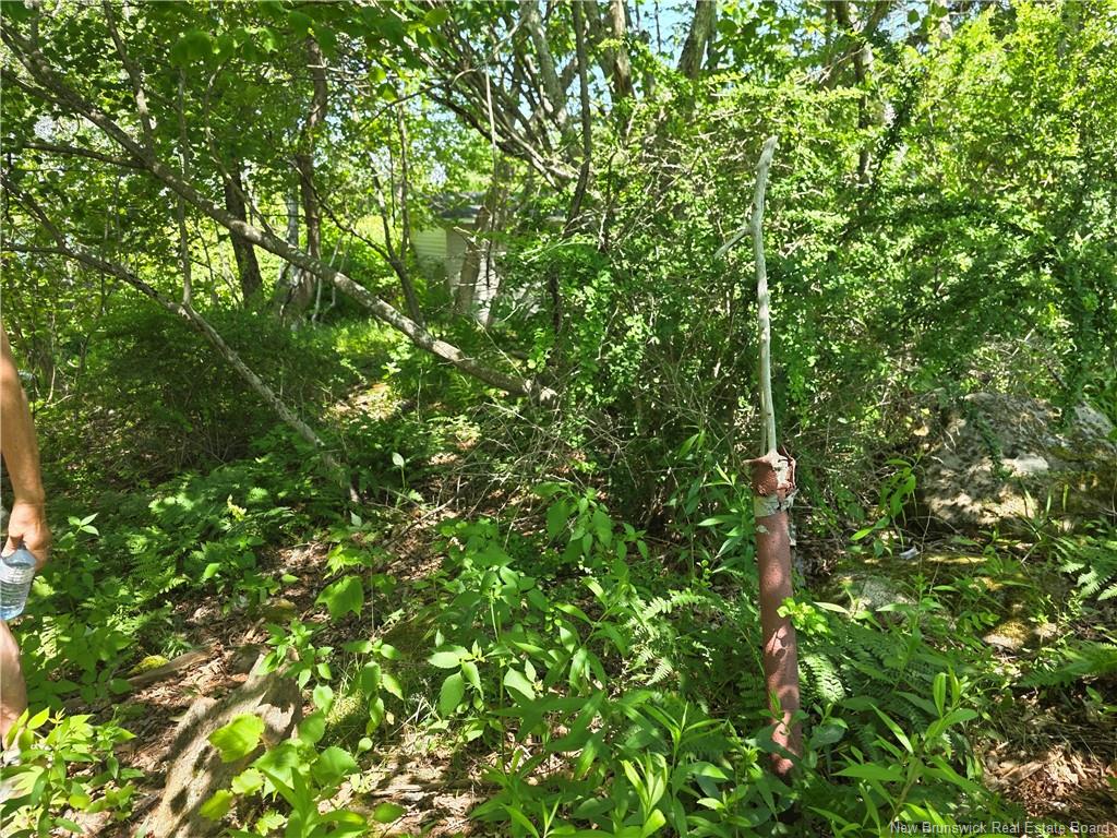 Land in Saint John 3
