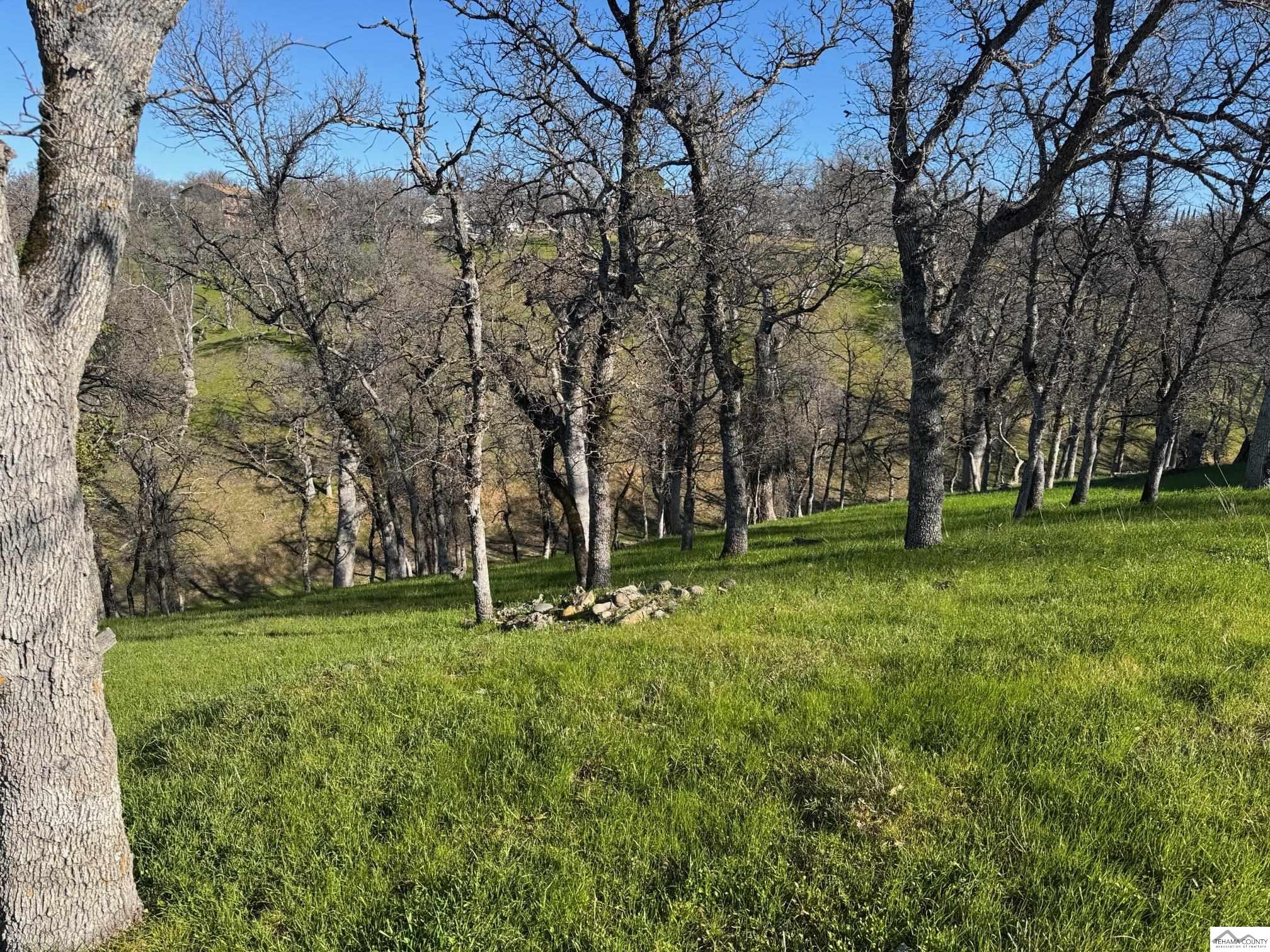 Land in Cottonwood