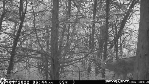 15th 15th St, Blakesburg, IA, 52536 | Card Image