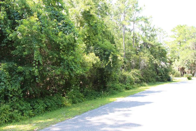 1 Hobbs Way, Home with 0 bedrooms, 0 bathrooms and null parking in ST MARKS FL | Image 7