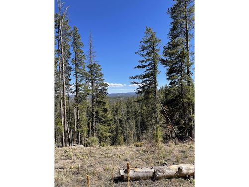 66 Piegan Ct, Red Feather Lakes, CO, 80545 | Card Image