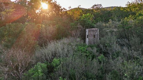 2581 Patterson Creek Rd, Leakey, TX, 78873 | Card Image