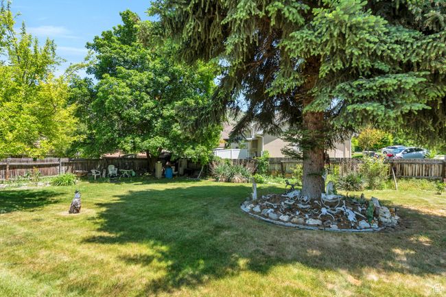 View of yard | Image 16