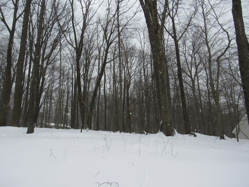 5 Admiral Dunbar Rd, Dubois, PA, 15801 | Card Image