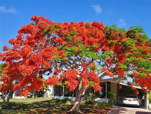 26257 Queen Mary Ln, BONITA SPRINGS, FL, 34135-6537 | Card Image