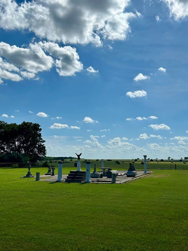 View of community featuring a lawn | Image 30