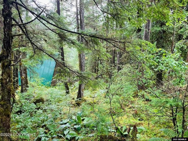 252 1A Snoose C Whale Pass Road, House other with 1 bedrooms, 0 bathrooms and null parking in Whale Pass AK | Image 12
