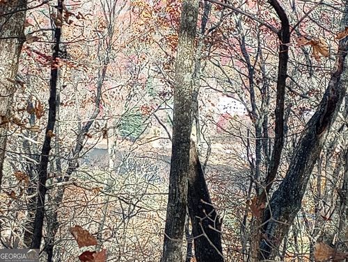 0 LOT 25 Alex Mountain Dr, Dillard, GA, 30537 | Card Image