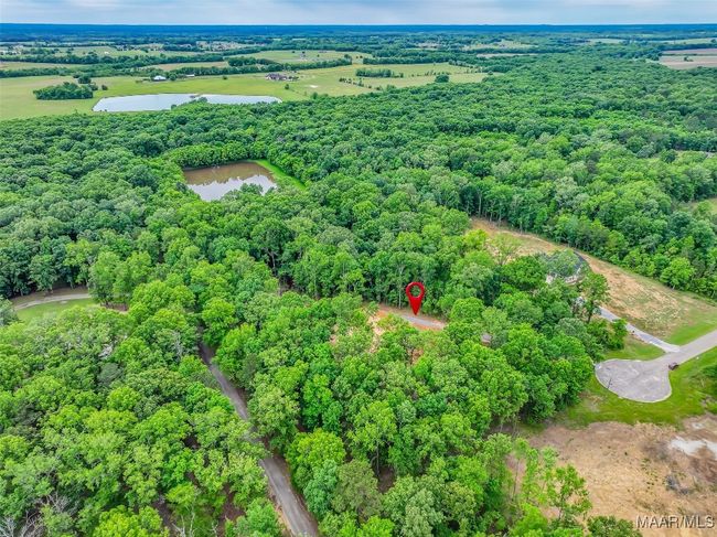 181 Hickory Hollow Ln, Home with 0 bedrooms, 0 bathrooms and null parking in Cecil AL | Image 11