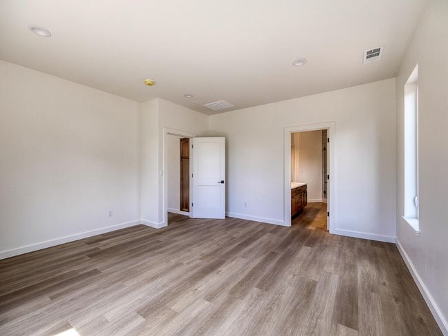 1168 Paper Birch-23 | Image 23