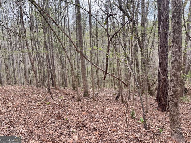 0 Green Oak Cir, Home with 0 bedrooms, 0 bathrooms and null parking in Thomaston GA | Image 15