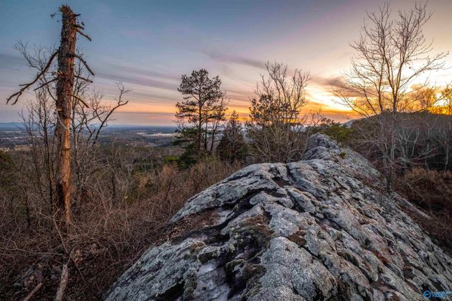 LOT 81 Mauney Lane, Home with 0 bedrooms, 0 bathrooms and null parking in Leesburg AL | Image 12