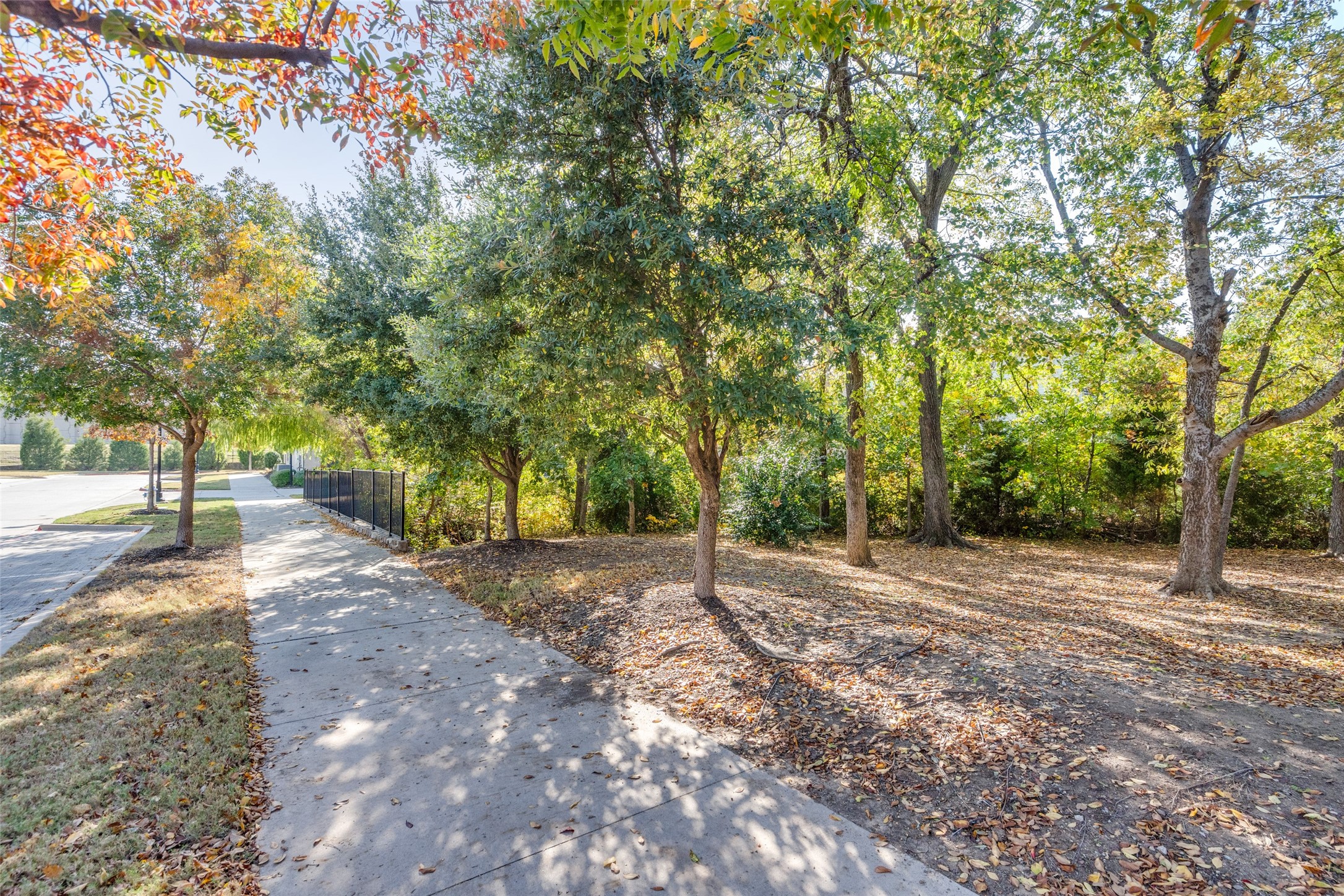Residential Lease in Plano 3