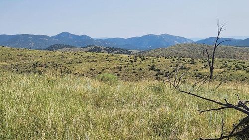 TBD L 32nd Trail, Cotopaxi, CO, 81223 | Card Image