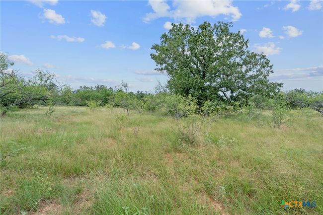 3597 Baker Rd, Home with 0 bedrooms, 0 bathrooms and null parking in Kingsbury TX | Image 19