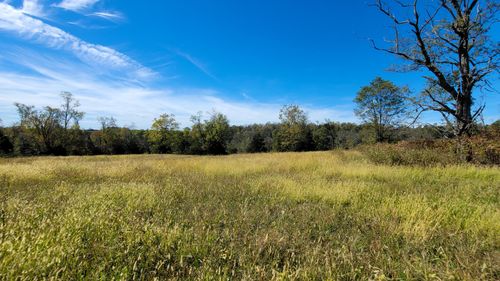 595 Tulip Poplar Ln, Flemingsburg, KY, 41041-8700 | Card Image