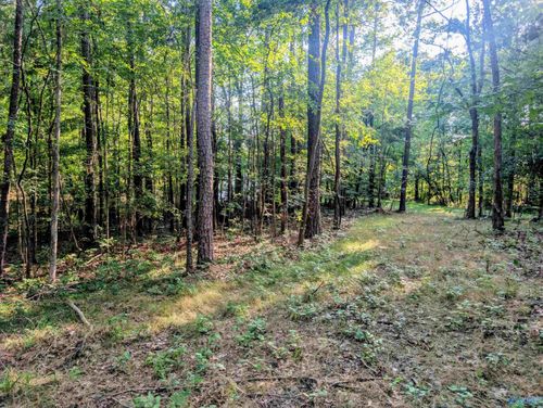 Lot 37 County Road 683, Cedar Bluff, AL, 35959-2532 | Card Image