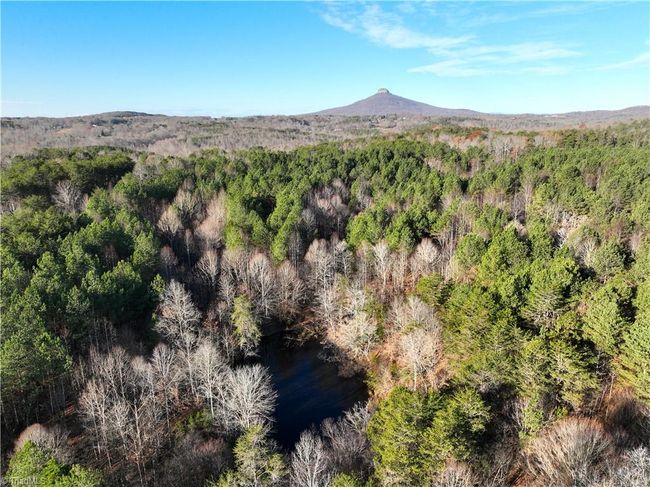Lot 2- 0 Bowen Rd, Home with 0 bedrooms, 0 bathrooms and null parking in Pinnacle NC | Image 4