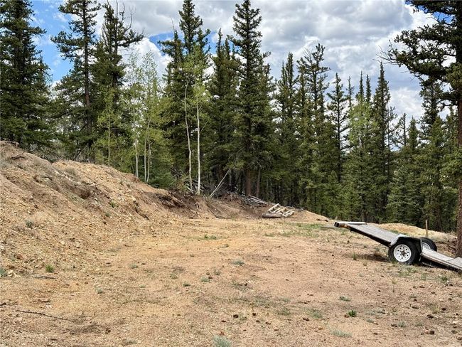 View of woods | Image 9