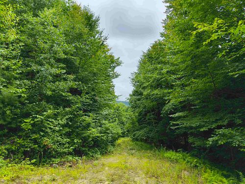 Lot #5 Cilley Brook Lane, Hebron, NH, 03241 | Card Image