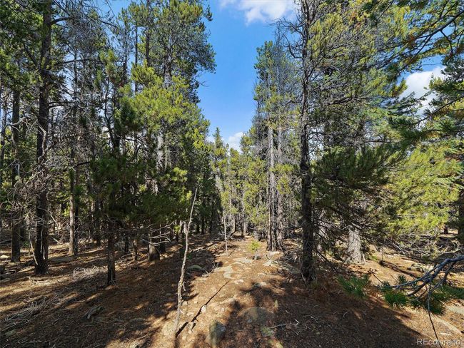 0 Edward Dr, Home with 0 bedrooms, 0 bathrooms and null parking in Conifer CO | Image 10