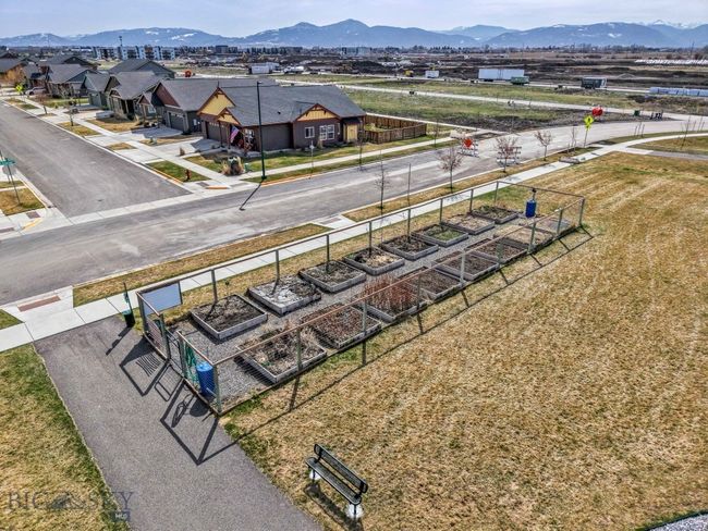 Community garden | Image 49
