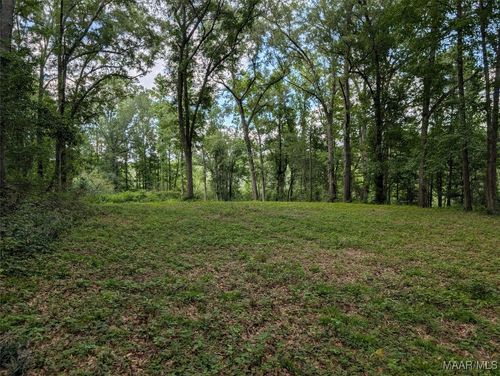0 Melt Flowers Rd, Troy, AL, 36081 | Card Image