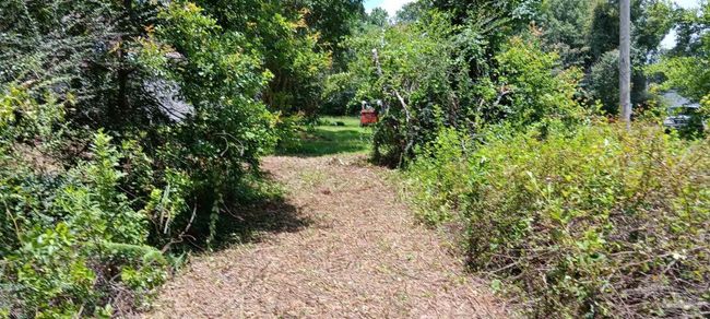 3675 Hazel Godwin Rd, House other with 4 bedrooms, 3 bathrooms and 2 parking in Jay FL | Image 30