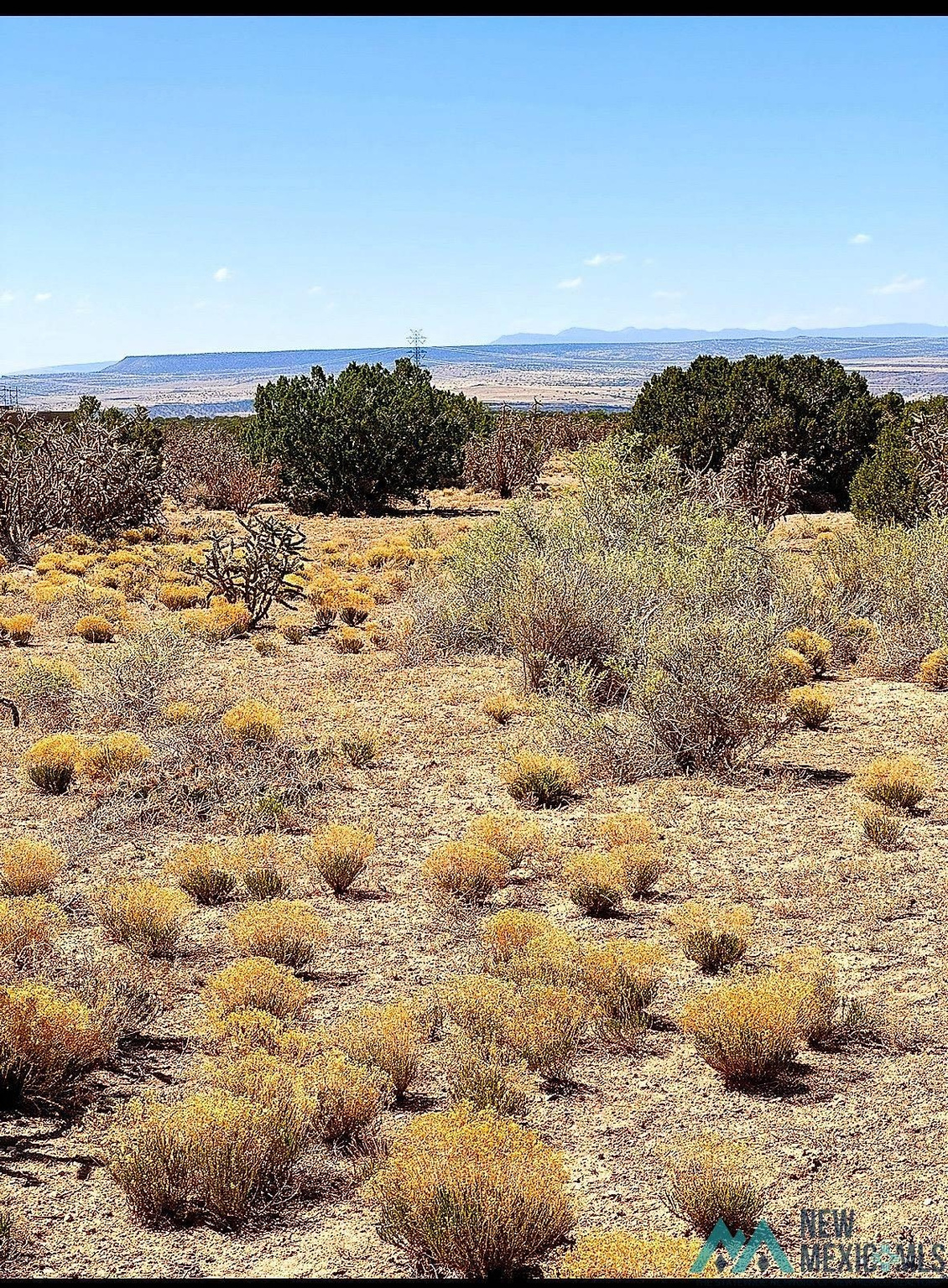 Land in Placitas 4