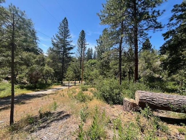 0 Crest View Dr, Home with 0 bedrooms, 0 bathrooms and null parking in Murphys CA | Image 17