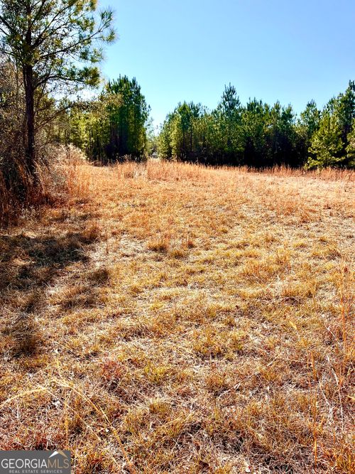 0 Lynntown Rd, Collins, GA, 30421 | Card Image