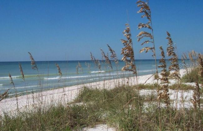 Honeymoon Island | Image 47