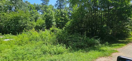 Lot 5&amp;6/Blk 3 Williams Road, Royal, AR, 71968 | Card Image