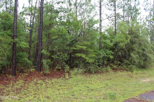 TBD Deborah Ave, Chipley, FL, 32428 | Card Image