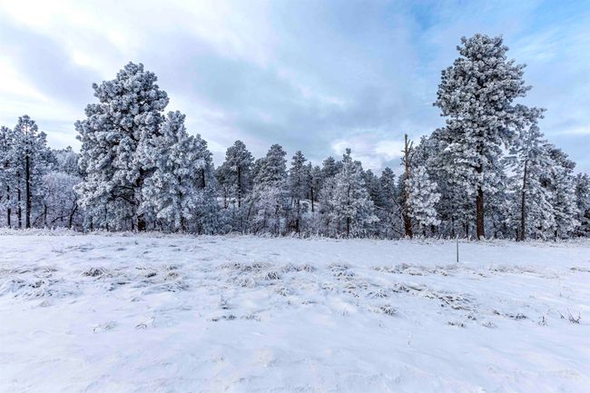 Lot 3 Niobrara Dr, Home with 0 bedrooms, 0 bathrooms and null parking in Whitewood SD | Image 10