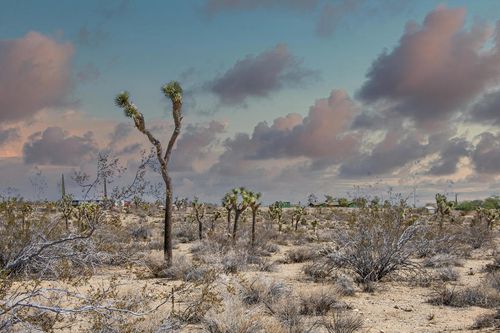 1435 Jemez Trl, Yucca Valley, CA, 92284 | Card Image