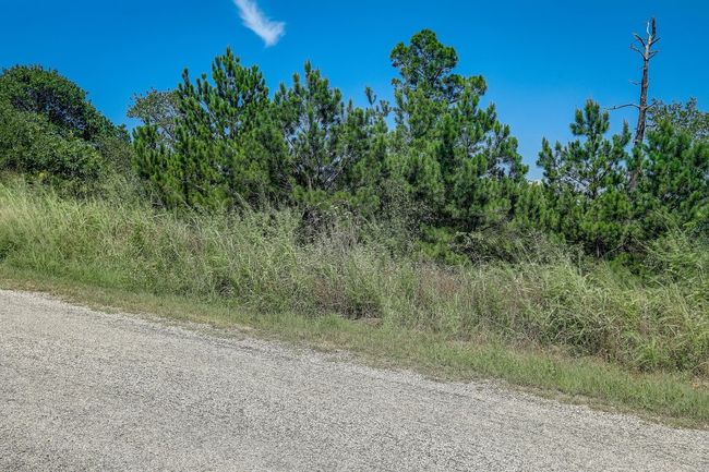 20 Tall Forest Dr, Home with 0 bedrooms, 0 bathrooms and null parking in Bastrop TX | Image 9