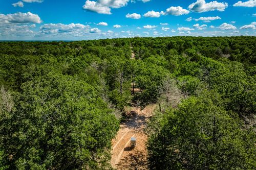 511 Lcr 793, Groesbeck, TX, 76642-2245 | Card Image