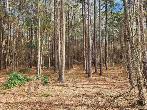 TBD Cr 4313, Pittsburg, TX, 75686 | Card Image