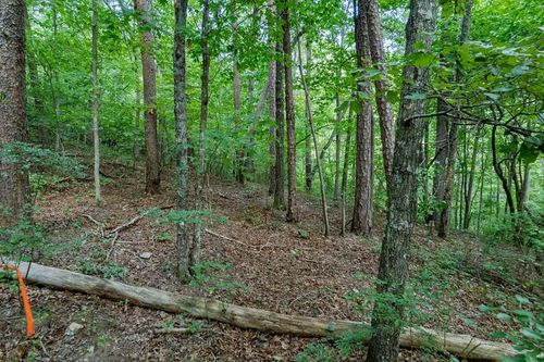 Lot 6 Heatherwood Way, Talking Rock, GA, 30175 | Card Image