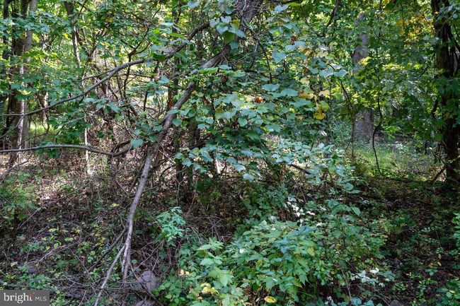 Lot 3 Price Ridge Rd, Home with 0 bedrooms, 0 bathrooms and null parking in STANLEY VA | Image 35